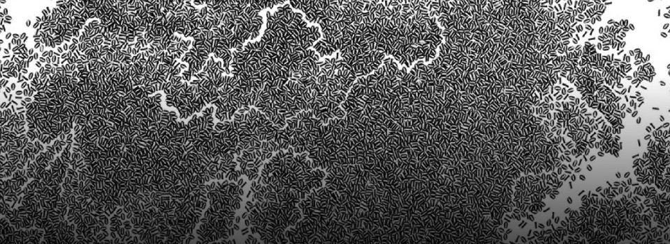 Tufts Professors Grapple with Binary Code