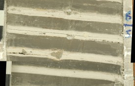 Image: Did you know that the Tufts Medford campus use to be covered in a one-mile-thick sheet of ice? Professor Jack Ridge studies sediments deposited in ancient glacial lakes around New England. These sediments—or varves—tell how the climate has changed since the ice age. Check out his “Varve of the Month” website. 
