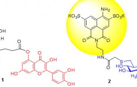 Image: The d'Alarcao Research Group uses synthetic organic chemistry to shed light on questions in biology and medicine. 
