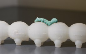 Image: Tufts professors are building robots modeled on caterpillars.