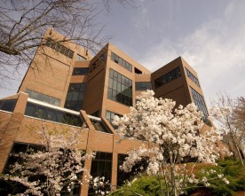 Thumbnail: Cabot Intercultural Center