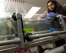 Thumbnail: Tufts Labs